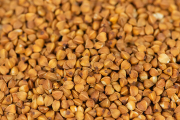 Buckwheat Grains on Plate on Wooden Background, Top View, Copy Space.Hulled kernels of buckwheat grains close up. Food background.