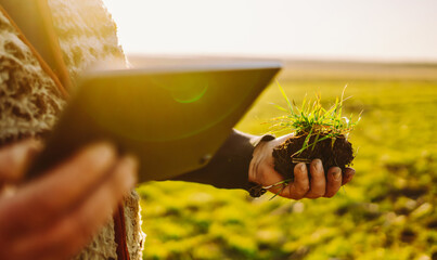 A farmer stands in a field at sunset. He holds a small plant in one hand and a tablet in the other to monitor the crop's growth. Concept of sowing, agriculture. © maxbelchenko