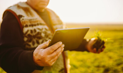 A farmer stands in a field at sunset. He holds a small plant in one hand and a tablet in the other to monitor the crop's growth. Concept of sowing, agriculture. © maxbelchenko