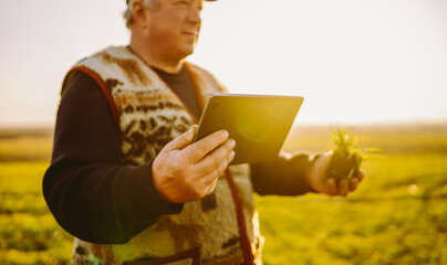 A farmer stands in a field at sunset. He holds a small plant in one hand and a tablet in the other to monitor the crop's growth. Concept of sowing, agriculture. © maxbelchenko