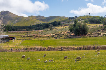 Obraz premium Scenic landscape of the Outeniqua Mountains and Pass between George and Oudtshoorn, Western Cape, South Africa 