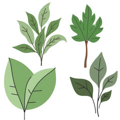 A set of green leaves in a minimalist vector illustration style