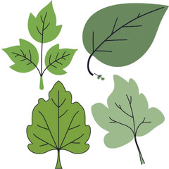 A vector graphic illustration of various green leaves on a white background