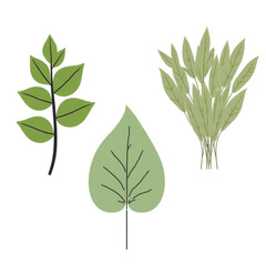 A minimalist vector graphic illustration of three green leaves on a white background