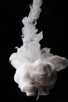 White Pigment Dissolving in Water - Abstract Ink Cloud Formation