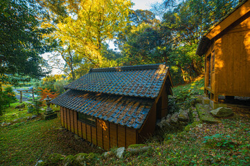 吉田大明神の紅葉