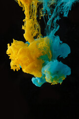 Obraz premium Dissolving Yellow and Cyan Pigments in Water on Black Background