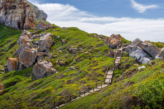 Wooden boardwalk trail leading to a scenic beach at Robberg Nature Reserve, Plettenberg Bay, South Africa