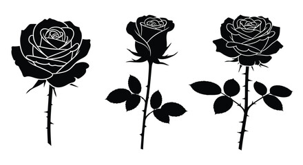 Three black roses displayed in a striking silhouette © Lhvect02