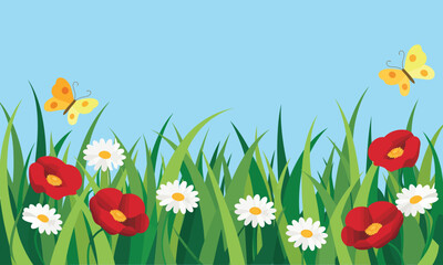 Spring meadow with poppies daisies and butterflies
