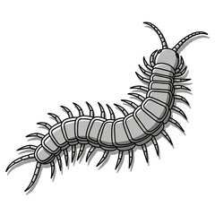 Obraz premium Cartoon gray centipede with many legs and antennae on a white background