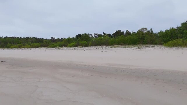 View of a beach with water, sand, and trees on a cloudy day