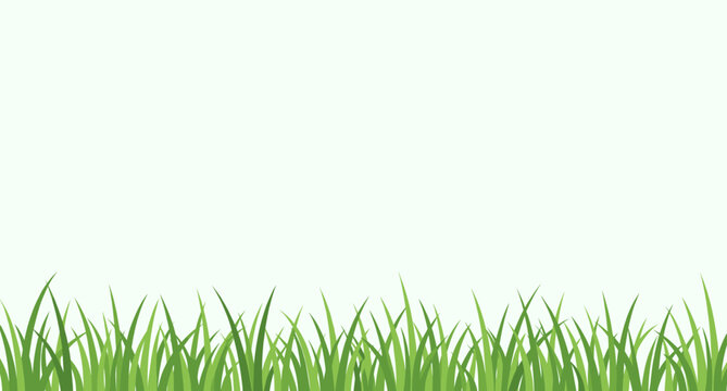 Fresh green grass field border vector illustration for nature backdrop