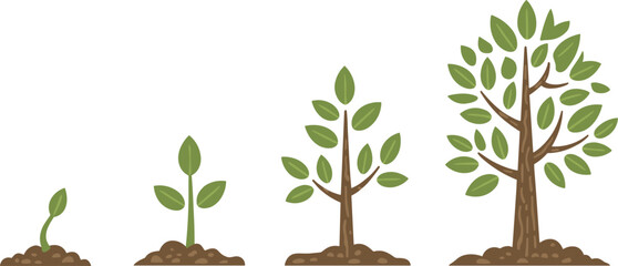 Obraz premium Plant growth stages illustration featuring sprout, seedling, leaf development, and mature plant in pots with roots for biology, gardening, and educational graphics
