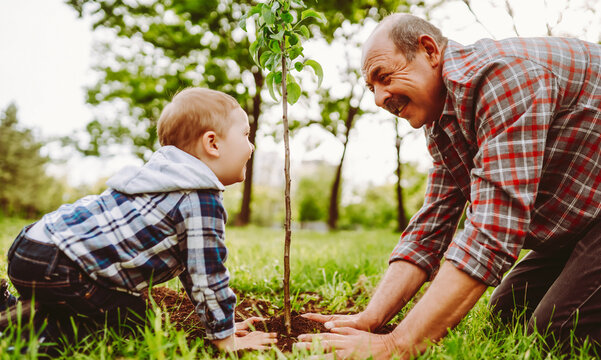 A grandfather and his grandson playfully touch noses while sitting in a park. They are surrounded by green grass and trees on a sunny afternoon.