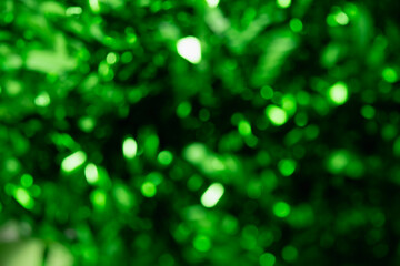 Obraz premium Blurred green garland. City night light blur bokeh, defocused background.