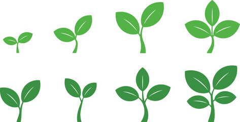Fototapeta premium Plant growth stages vector illustration, green sprout icons, botanical development, agriculture concept, seedling to mature plant, educational nature graphics, eco-friendly design
