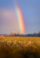 Regenbogen &uuml;ber der Wiese