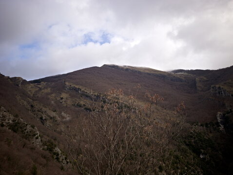 Paesaggio montano con alberi spogli, conifere verdi e luce sulle pendici
