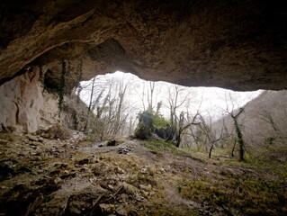 Vista dalla grotta su bosco invernale con alberi spogli
