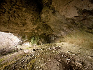 Vista dalla grotta su bosco invernale con alberi spogli