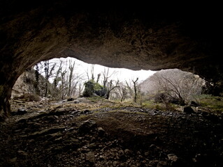 Vista dalla grotta su bosco invernale con alberi spogli