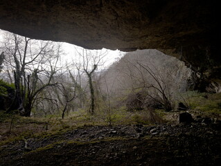 Vista dalla grotta su bosco invernale con alberi spogli