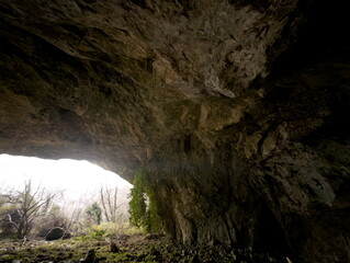 Vista dalla grotta su bosco invernale con alberi spogli