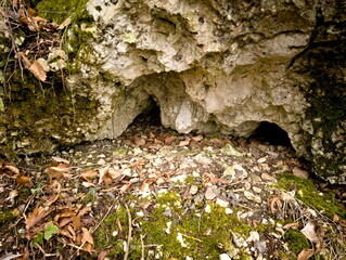 Piccole cavit&agrave; alla base di una roccia coperta di muschio, circondata da foglie secche