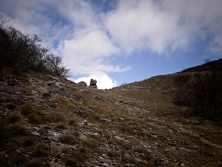 Paesaggio montano con pendii rocciosi, alberi spogli e cielo nuvoloso