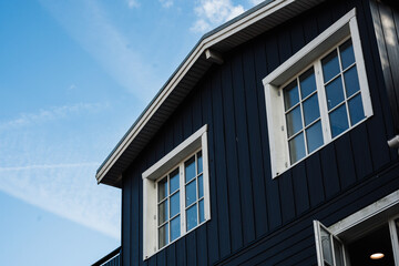 Residential exterior with dark blue vertical wood siding and two bright white multi-paned windows. White trim and eaves stand out against the deep blue, illuminated by a daytime sky
