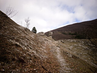 Formazione rocciosa naturale su pendio montano con masso scolpito dal tempo