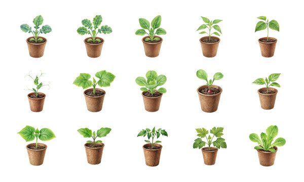 Watercolor vegetable seedlings in peat pots set