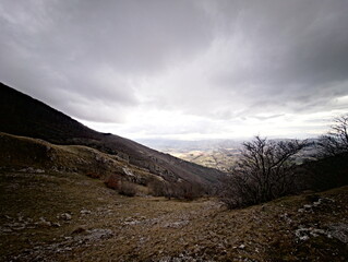 Paesaggio montano con alberi spogli, conifere verdi e luce sulle pendici