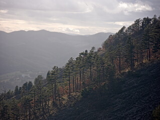 Paesaggio montano al tramonto con foresta e pendii illuminati