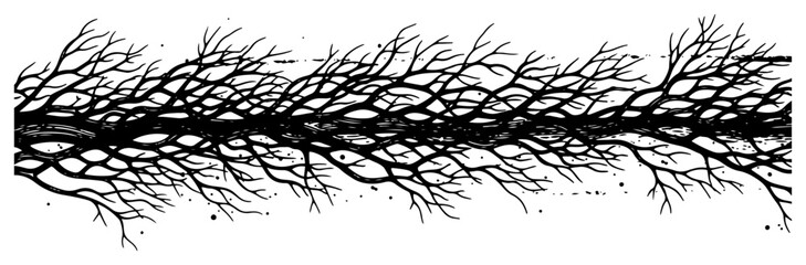 Hand drawn horizontal border of tangled leafless tree branches in ink sketch style