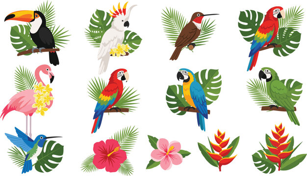 Colorful vector collection of exotic tropical birds including parrots macaws and toucans perched on jungle branches with lush green palm leaves and flowers.