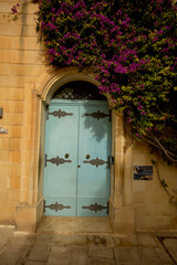 Fototapeta premium Charming traditional Maltese door framed by vibrant bougainvillea blossoms