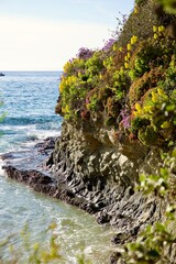 rocky coast along the pacific ocean