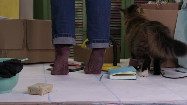 Woman standing on a table on tiptoes trying to reach the ceiling to install a light bulb. Concept of DIY home repair, creative workspace setup, preparation of a studio for filming, female entrepreneur