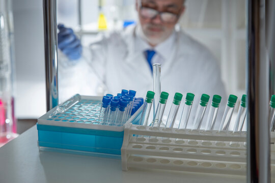 Senior pharmaceutical scientist preparing biomaterial samples by pipetting into laboratory flasks. 