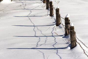 Rustic barbed wire fence posts rise from a pristine snow blanket, casting sharp, wavy shadows across the bright winter field