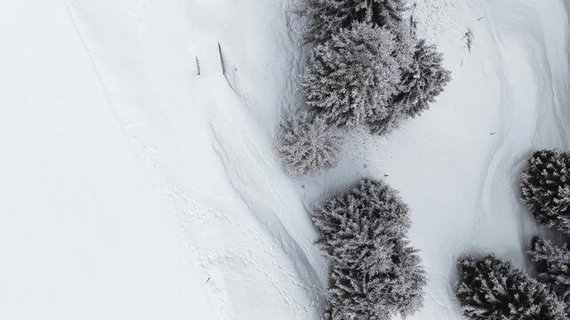 Minimalist winter scene from above shows a ski trail in deep powder snow near a pristine, frosty forest on a ski resort