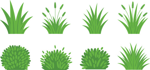 Green grass and bush plant collection vector illustration set isolated nature foliage elements design © sahajahan