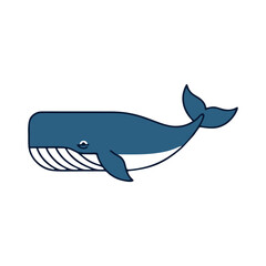 Obraz premium Vector illustration of a blue whale