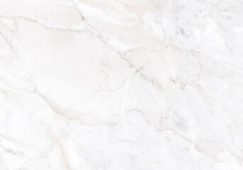 Elegant white marble surface with soft veins glimmering in gentle light