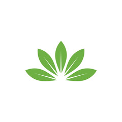 Minimal Flat Vector Icon of Stylized Green Herb Leaves in Fan Shape