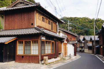 Fototapeta premium Ine Fishing Village, Kyoto prefecture, Japan, Ine-ura landscape coastal view, Funaya, traditional wooden boat houses, Ine Bay during boat tour cruise, Yoza District, in a autumn fall day