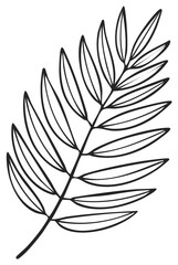 Fototapeta premium Elegant hand drawn tropical palm leaf silhouette isolated on white background simple line art