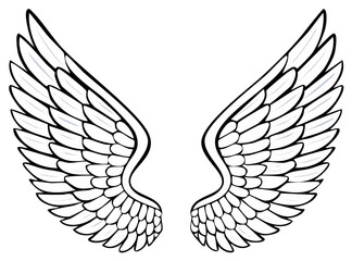 Obraz premium Pair of ornamental feathered wings outlined in black and white with gray shading detail